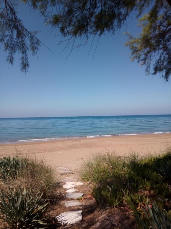 Hotel Διεθνές زاخارو المظهر الخارجي الصورة