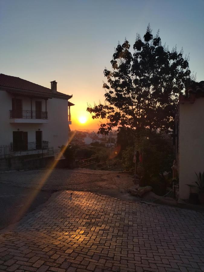 Hotel Διεθνές زاخارو المظهر الخارجي الصورة